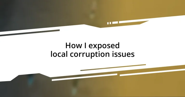 How I exposed local corruption issues