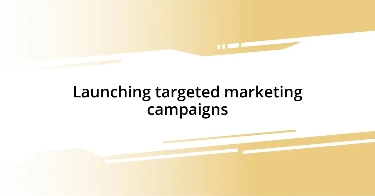 Launching targeted marketing campaigns