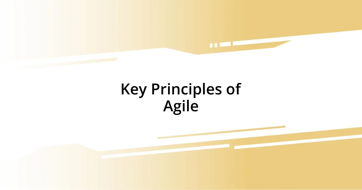 Key Principles of Agile